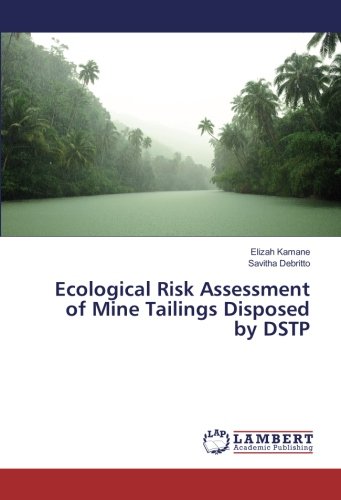 Ecological Risk Assessment of Mine Tailings Disposed by DSTP
