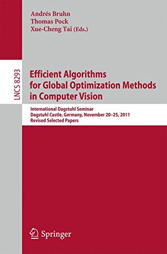 Efficient Algorithms for Global Optimization Methods in Computer Vision: International Dagstuhl Seminar, Dagstuhl Castle, Germany, November 20-25, ... Papers (Lecture Notes in Computer Science)