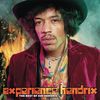 Experience Hendrix: the Best of Jimi Hendrix [Vinyl LP]