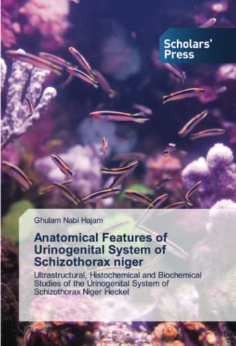 Anatomical Features of Urinogenital System of Schizothorax niger: Ultrastructural, Histochemical and Biochemical Studies of the Urinogenital System of Schizothorax Niger Heckel