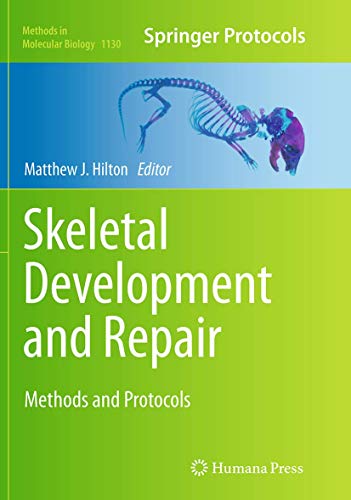 Skeletal Development and Repair: Methods and Protocols (Methods in Molecular Biology, Band 1130)