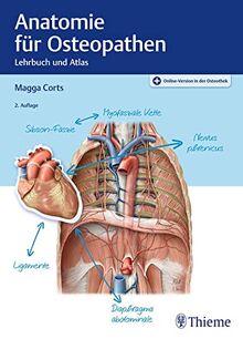 Anatomie für Osteopathen