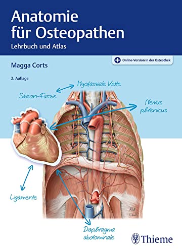 Corts, Magga: Anatomie für Osteopathen