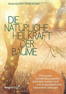 Die natürliche Heilkraft der Bäume: Wie unsere Selbstheilungskräfte gefördert werden und wir zu ganzheitlicher Gesundheit gelangen