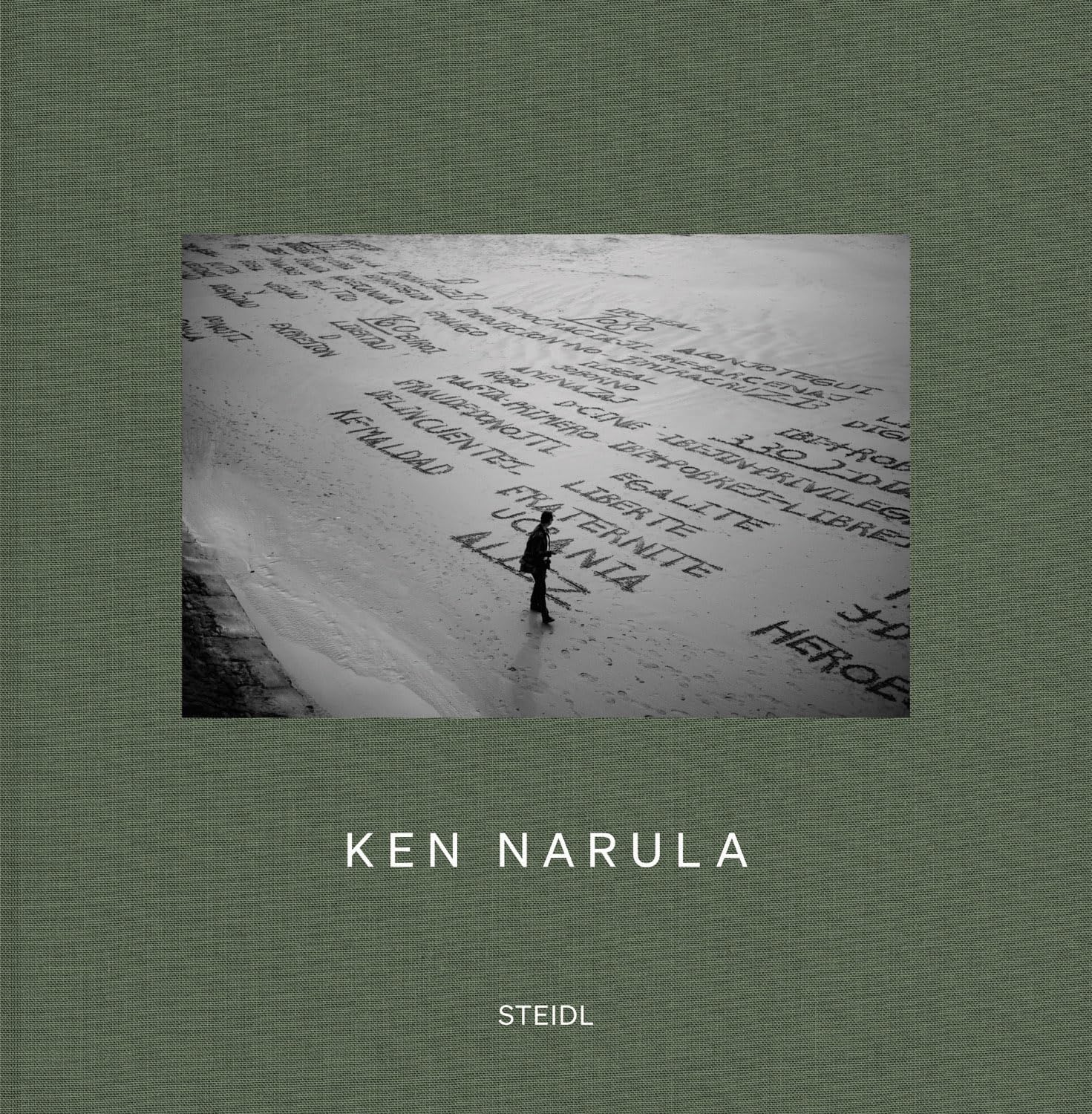 Ken Narula The Opposites