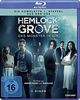 Hemlock Grove - Das Monster in Dir - Die komplette Staffel 1 [Blu-ray]