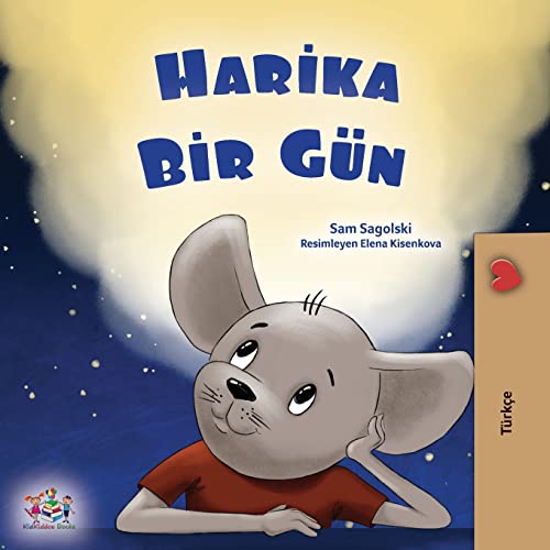 A Wonderful Day (Turkish Book for Children) (Turkish Bedtime Collection)