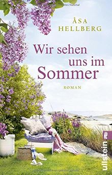 Wir sehen uns im Sommer: Roman