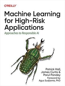Machine Learning for High-Risk Applications: Techniques for Responsible AI