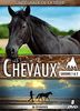Les chevaux, saisons 1 et 2 