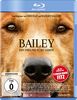 Bailey - Ein Freund fürs Leben [Blu-ray]