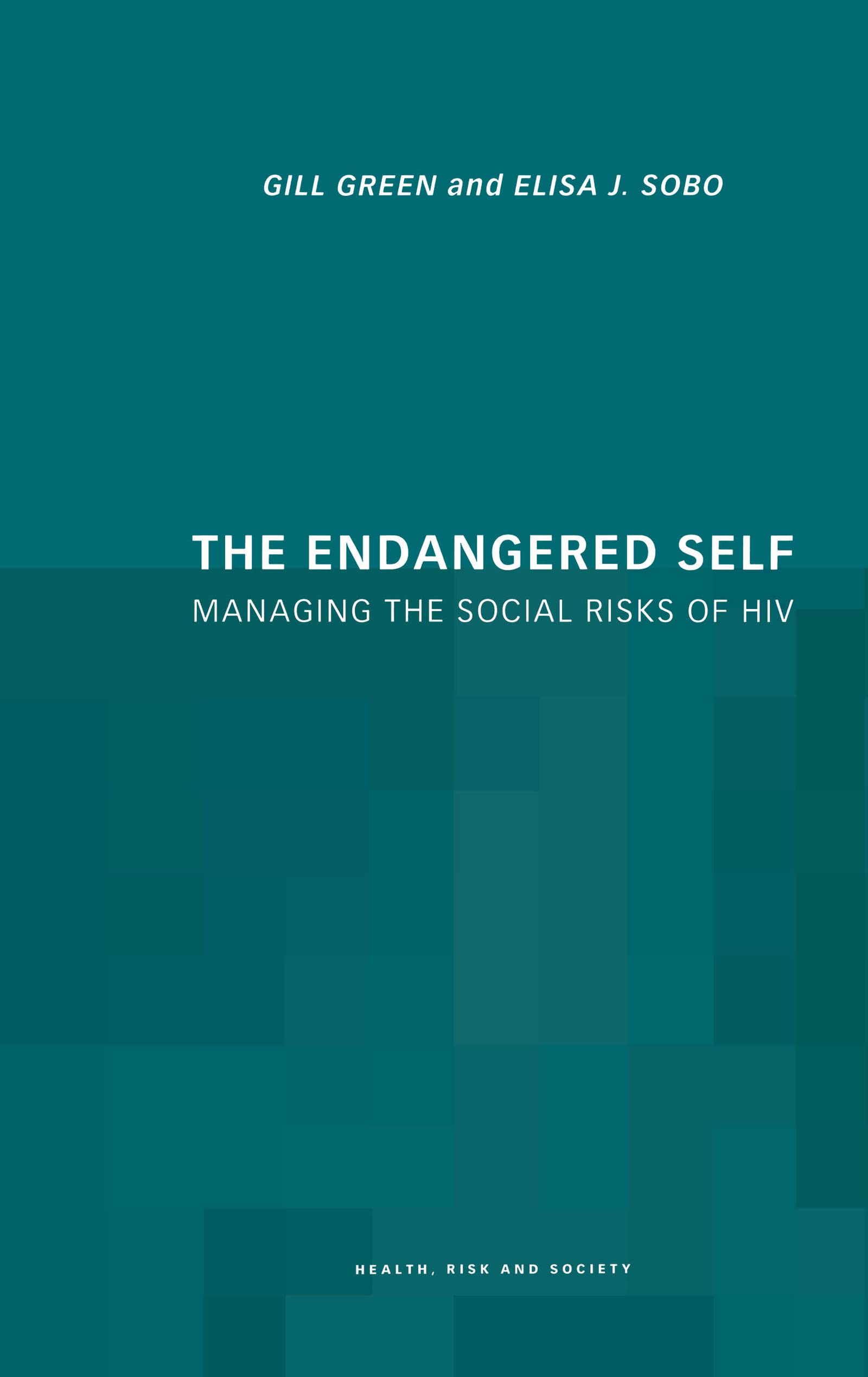 The Endangered Self: Identity and Social Risk (Health, Risk and Society)