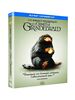 Les animaux fantastiques 2 : les crimes de grindelwald [Blu-ray] [FR Import]