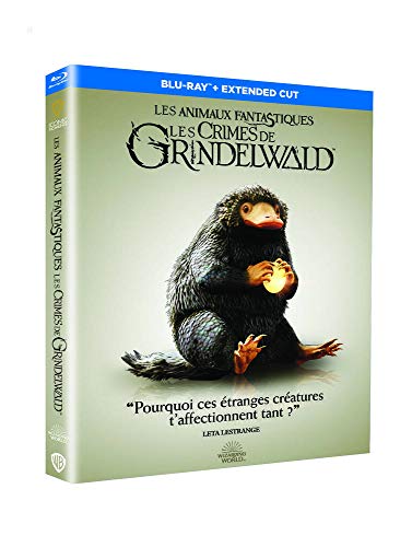 Wizarding World - Harry Potter / Les Animaux fantastiques - L'intégrale  coffret 11 films - Policier - Thriller - Films DVD & Blu-ray