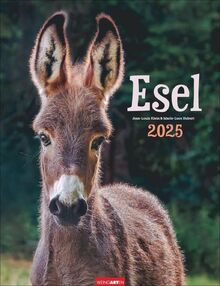 Esel Kalender 2025: Jahres-Wandkalender mit Fotos von Jean-Louis Klein und Marie-Luce Hubert. Tierkalender mit süßen Eselfotos. Planer mit Platz zum ... Hochformat 30x39 cm (Tierkalender Weingarten)
