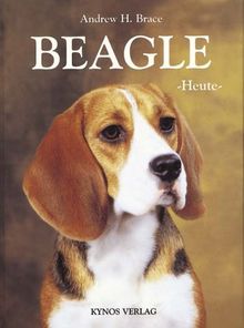 Beagle heute