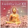 Buddha Bar XII