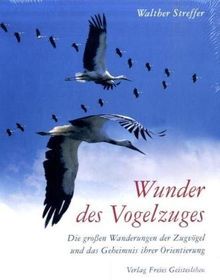 Wunder des Vogelzuges: Die großen Wanderungen der Zugvögel und das Geheimnis ihrer Orientierung