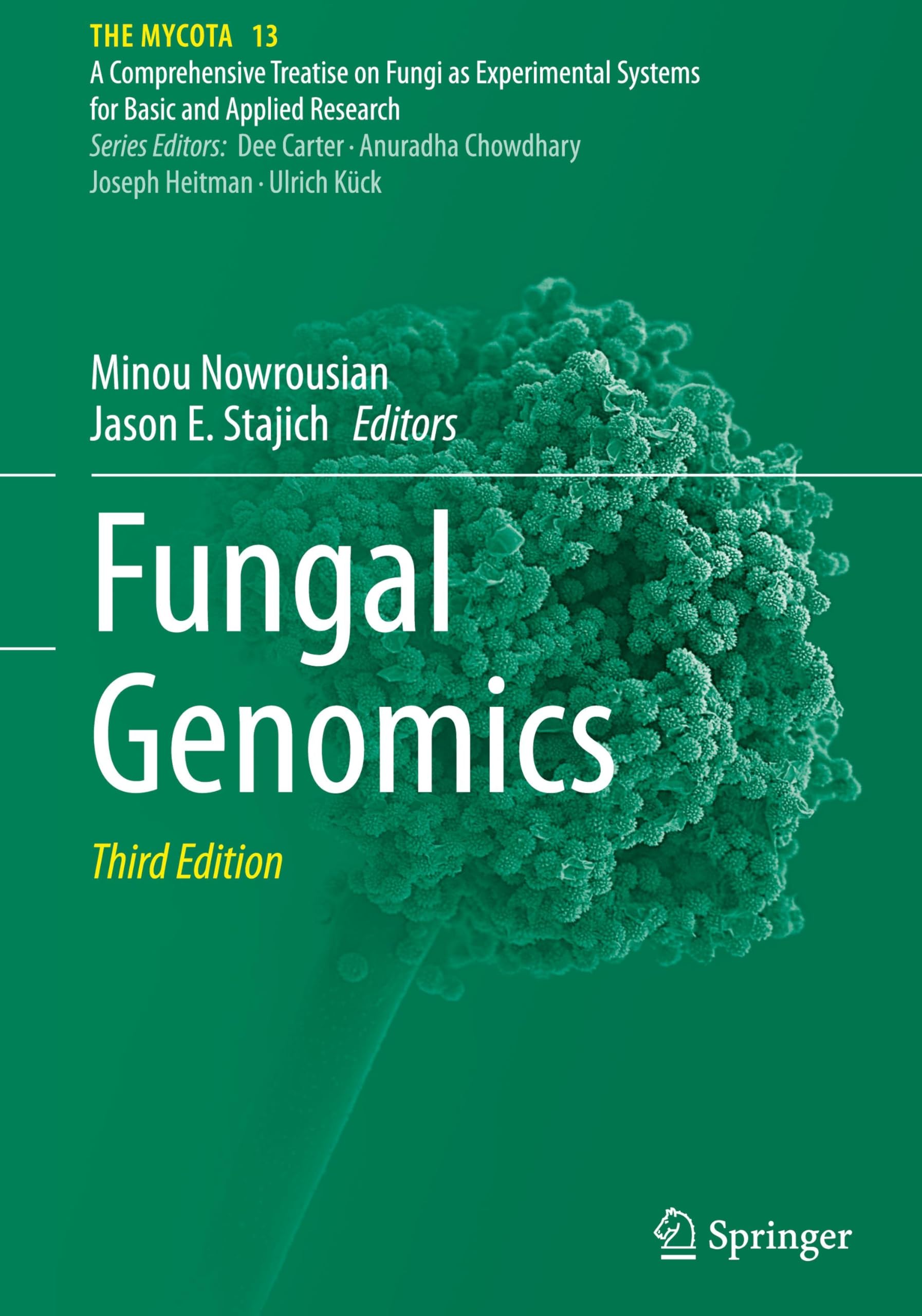 Fungal Genomics (The Mycota, 13, Band 13)