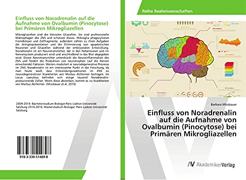 Einfluss von Noradrenalin auf die Aufnahme von Ovalbumin (Pinocytose) bei Primären Mikrogliazellen