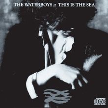 This Is the Sea von Waterboys,the | CD | Zustand gut