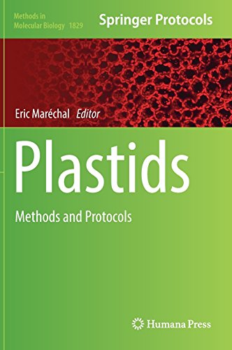 Plastids: Methods and Protocols (Methods in Molecular Biology, Band 1829)
