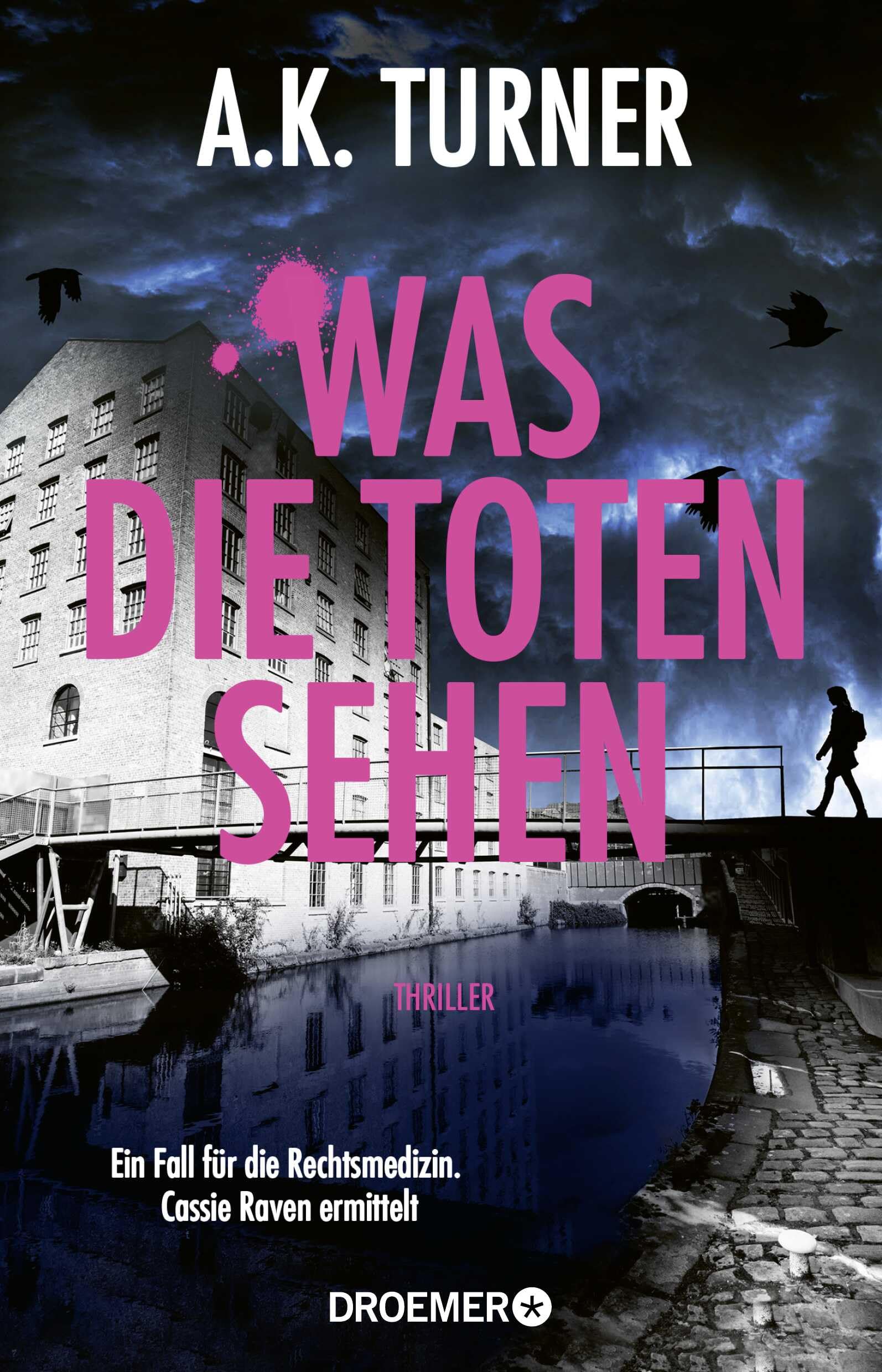 Was die Toten sehen: Ein Fall für die Rechtsmedizin. Cassie Raven ermittelt (Raven & Flyte ermitteln, Band 4)