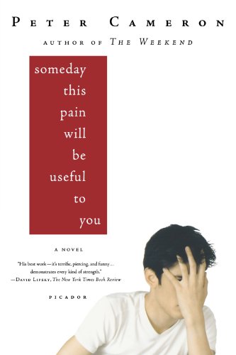 Peter Cameron Someday This Pain Will Be Useful To You