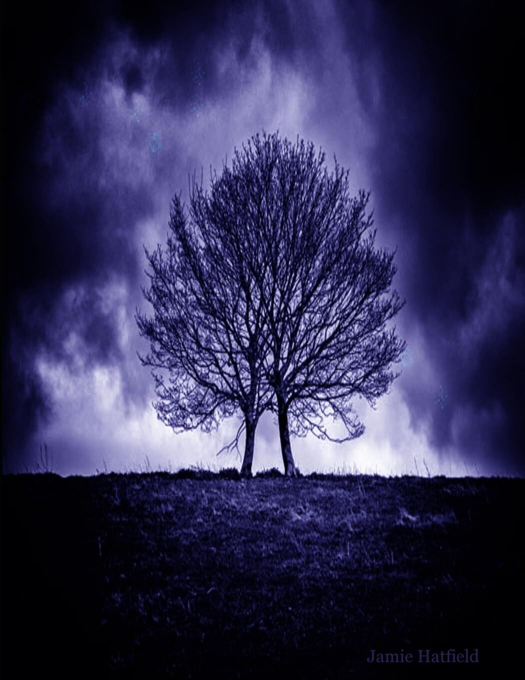 What I learned by Dying