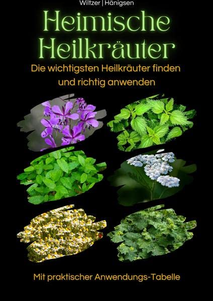 Heimische Heilkräuter: Die wichtigsten Heilkräuter finden und richtig anwenden