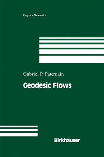 Geodesic Flows (Progress in Mathematics)