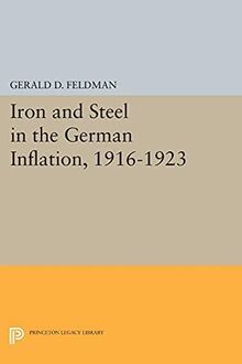 Iron and Steel in the German Inflation, 1916-1923 (Princeton Legacy Library)