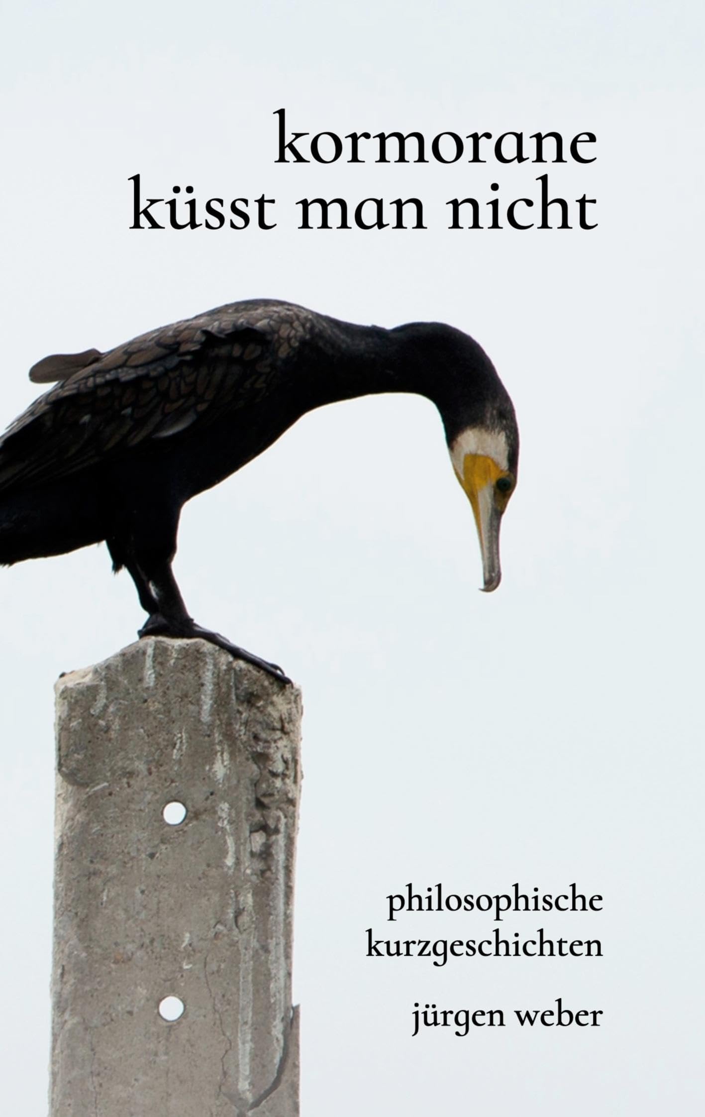 Kormorane küsst man nicht: Philosophische Kurzgeschichten