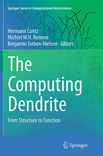 The Computing Dendrite: From Structure to Function (Springer Series in Computational Neuroscience, 11, Band 11)