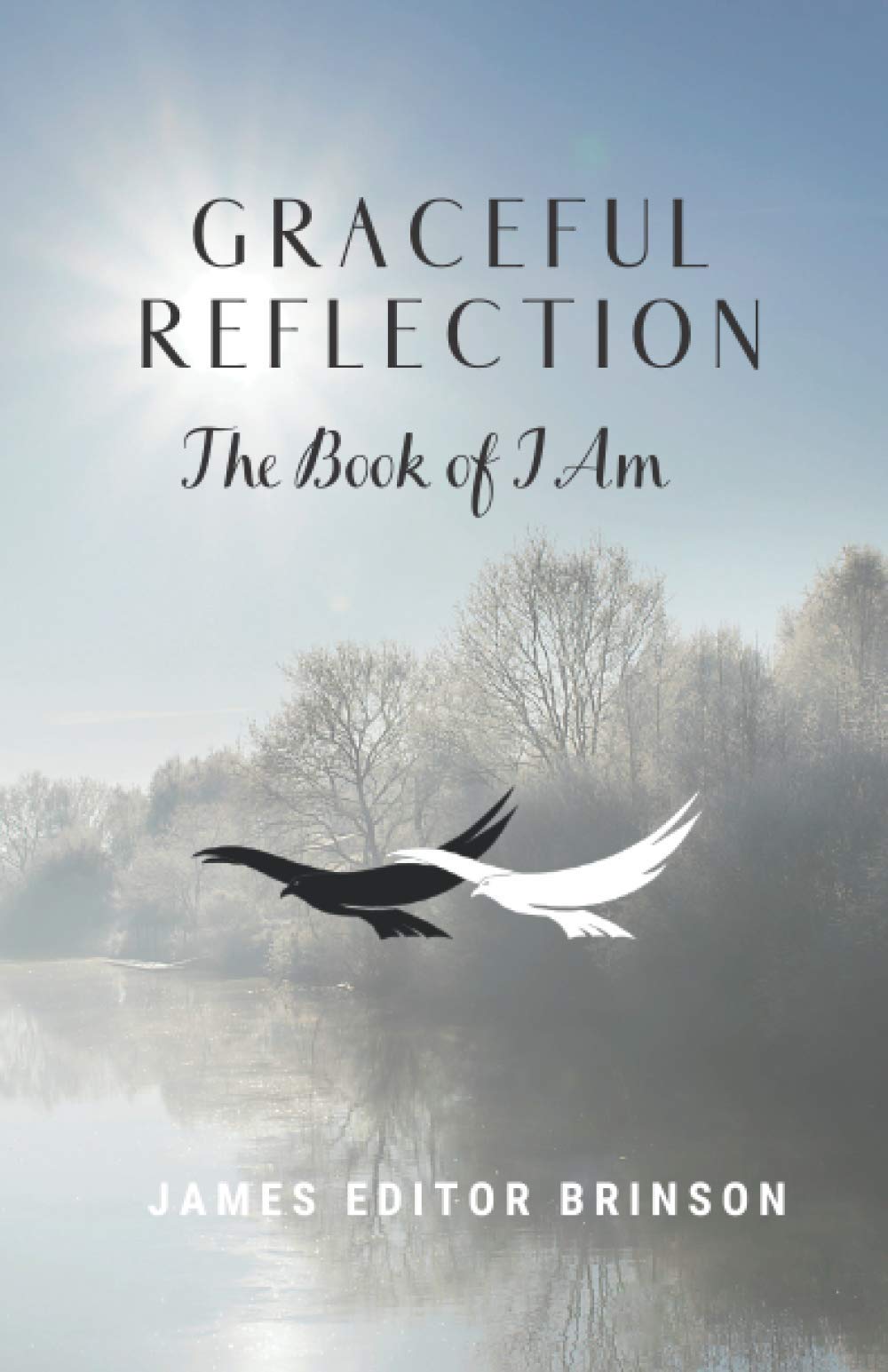 Graceful Reflection: The Book of I Am