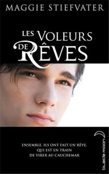 La prophétie de Glendower. Vol. 2. Les voleurs de rêves