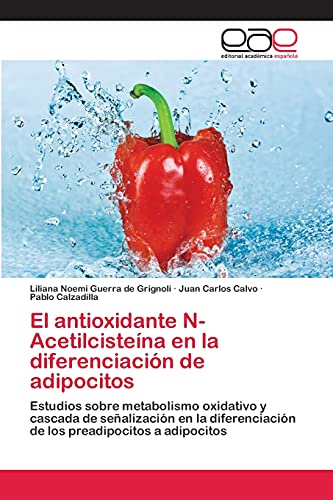El antioxidante N-Acetilcisteína en la diferenciación de adipocitos: Estudios sobre metabolismo oxidativo y cascada de señalización en la diferenciación de los preadipocitos a adipocitos