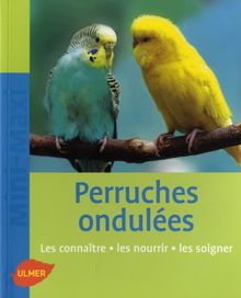 Perruches ondulées : les connaître, les nourrir, les soigner