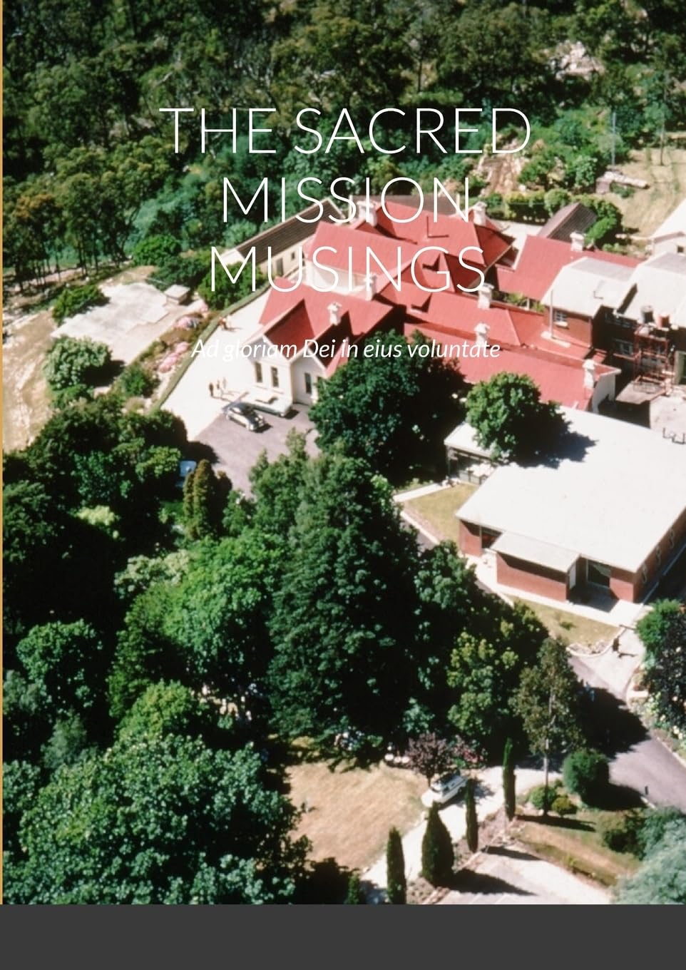 THE SACRED MISSION MUSINGS: Ad gloriam Dei in eius voluntate