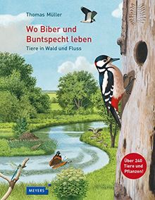 Wo Biber und Buntspecht leben: Tiere in Wald und Fluss