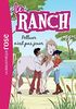 Le ranch. Vol. 13. Polluer n'est pas jouer