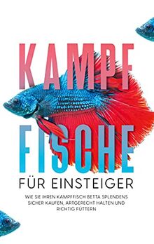 Kampffische für Einsteiger: Wie Sie Ihren Kampffisch Betta splendens sicher kaufen, artgerecht halten und richtig füttern