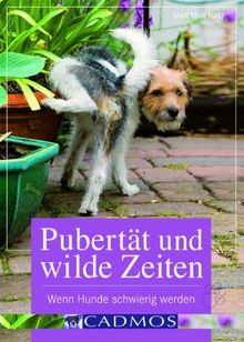 Pubertät und wilde Zeiten: Wenn Hunde schwierig werden