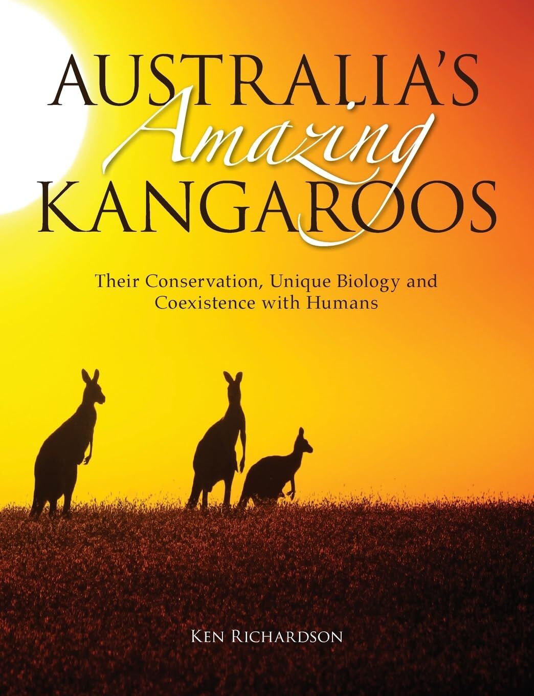 Australia's Amazing Kangaroos