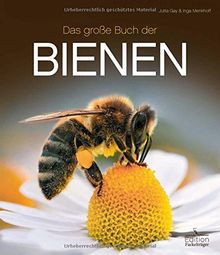 Das große Buch der Bienen von Gay, Jutta, Menkhoff, Inga | Buch | Zustand gut