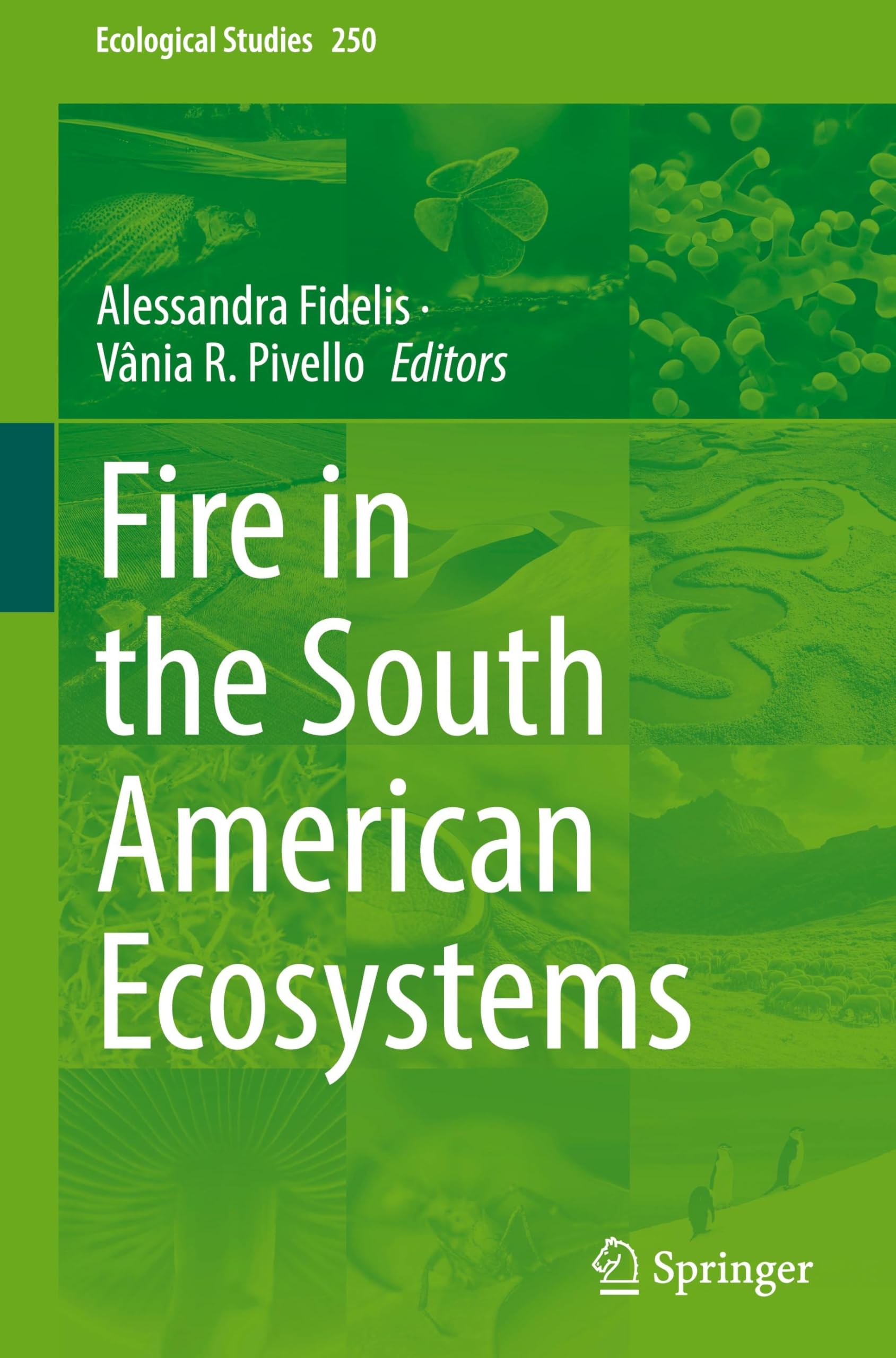Fire in the South American Ecosystems (Ecological Studies, 250, Band 250)