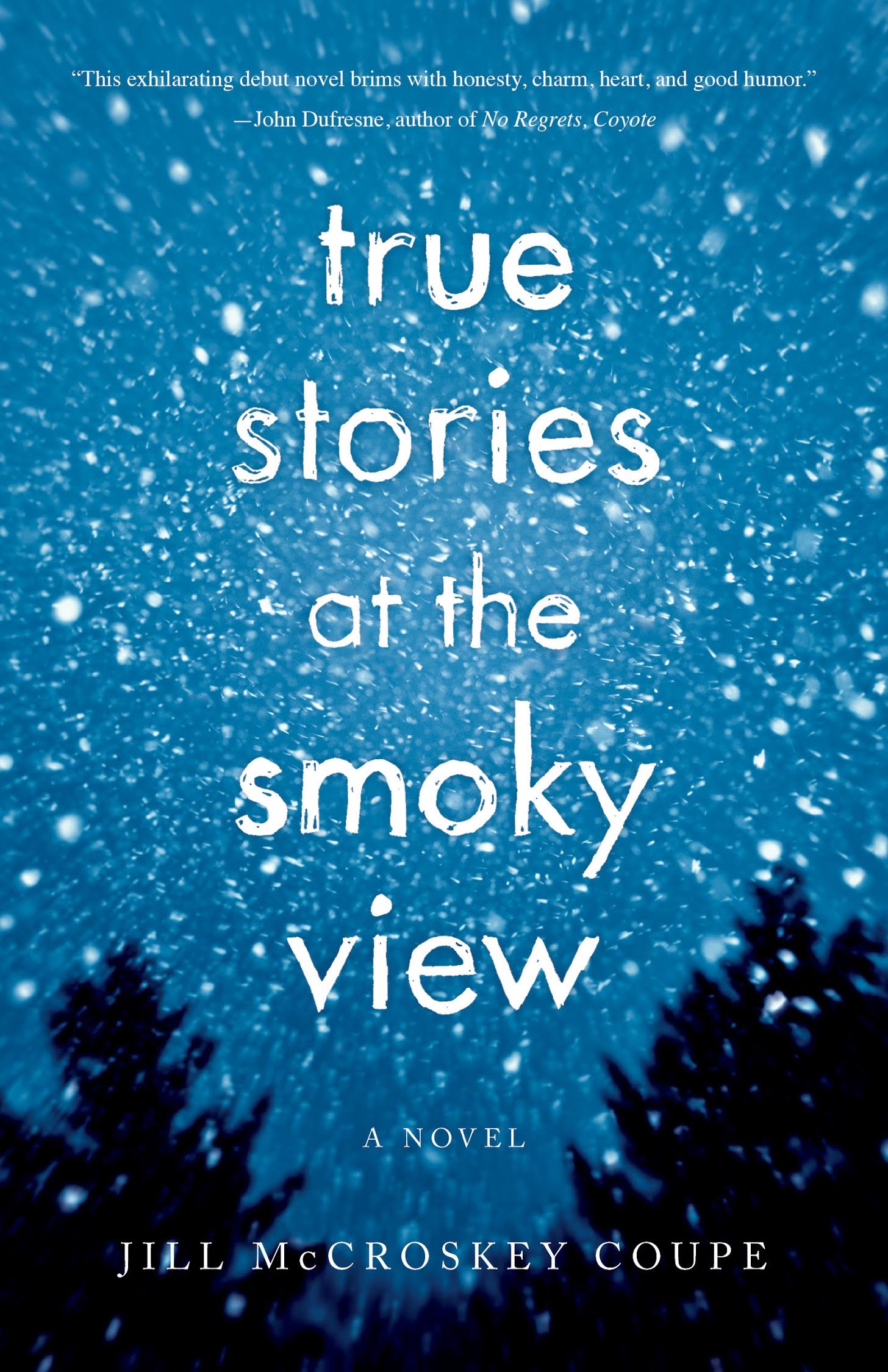 True Stories at the Smoky View: A Novel
