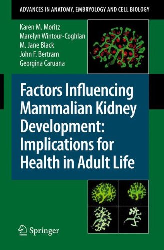 Factors Influencing Mammalian Kidney Development: Implications for Health in Adult Life: Implications for Health in Adult Life (Advances in Anatomy, Embryology and Cell Biology)