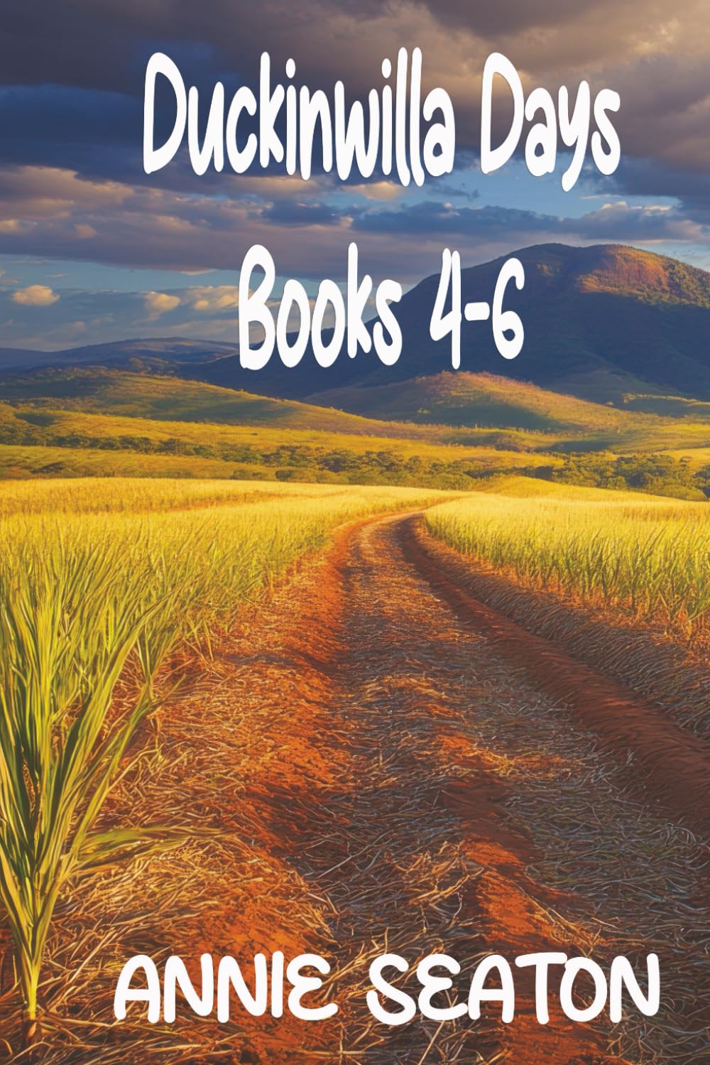 Duckinwilla Days: Boxed Set 4-6