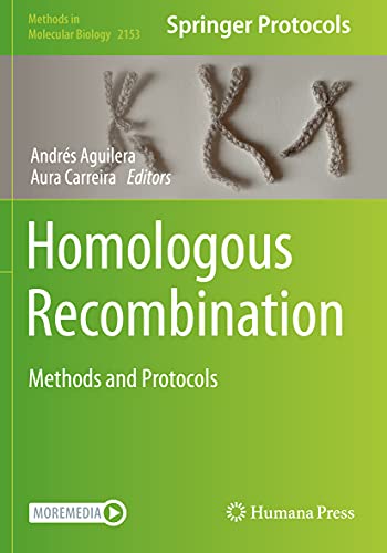 Homologous Recombination: Methods and Protocols (Methods in Molecular Biology, 2153, Band 2153)